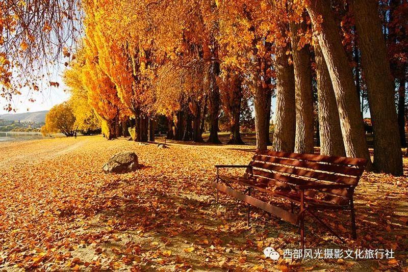 救援飞行员